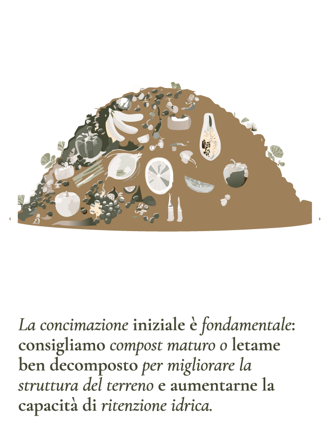 Concimazione-di-fondo