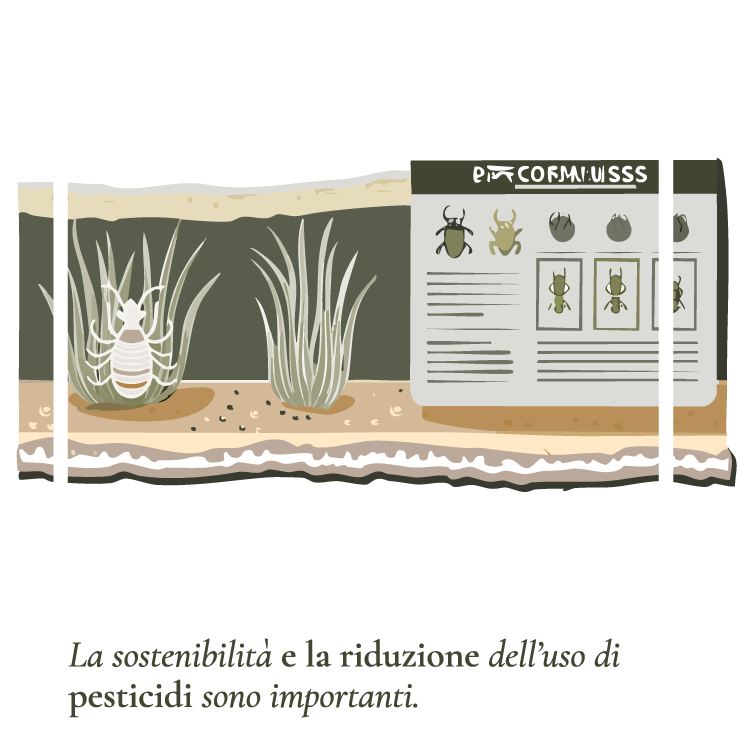 Semi-reissitenti-a-malattie